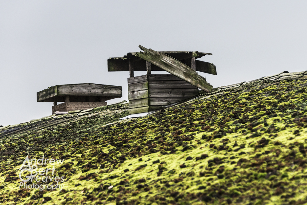 ventilation outlets on a moss covered roof of a farm out building