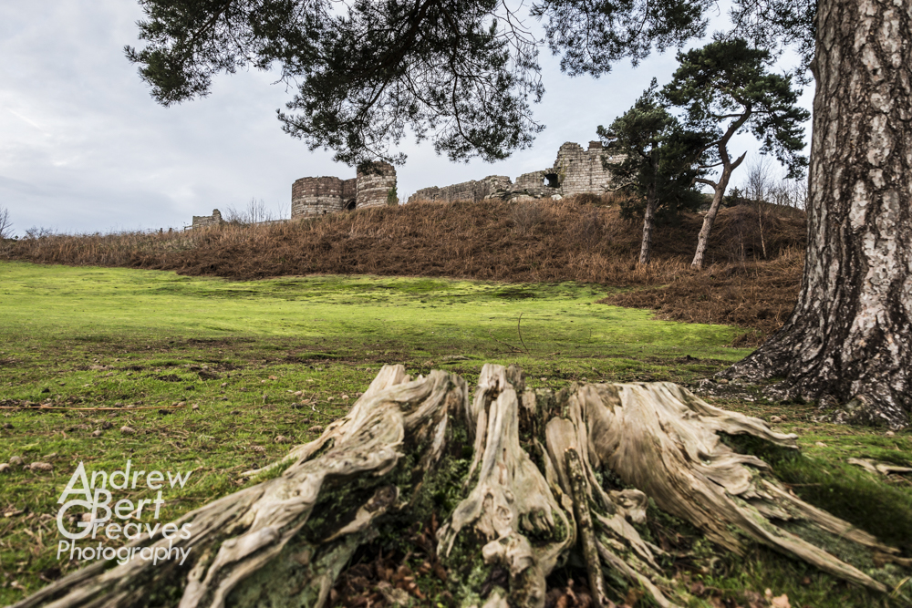 a tree stump in the foreground with Beeston Castle in the background