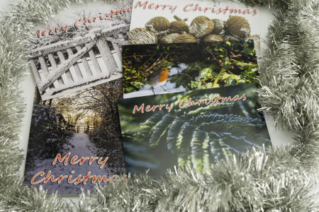 Christmas cards